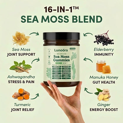 Sea Moss 16-In-1 Gummies